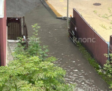 В Зеленоградске на Курортном проспекте шестой день сохраняется лужа с фекалиями после ливней
