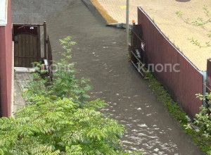 В Зеленоградске на Курортном проспекте шестой день сохраняется лужа с фекалиями после ливней