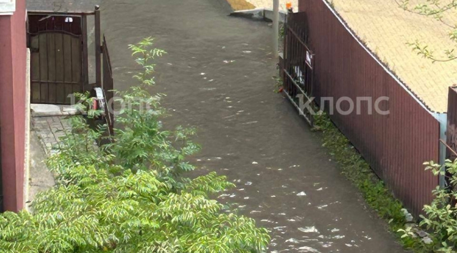 В Зеленоградске на Курортном проспекте шестой день сохраняется лужа с фекалиями после ливней