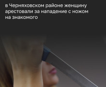 Жительницу посёлка Доваторовка заключили под стражу после нападения с ножом на знакомого сожителя