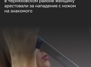 Жительницу посёлка Доваторовка заключили под стражу после нападения с ножом на знакомого сожителя