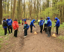 Калининград присоединился к Всероссийскому субботнику: в городских парках высадили новые пихты