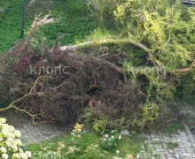 В Зеленоградске на Курортном проспекте шестой день сохраняется лужа с фекалиями после ливней