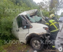 Водитель микроавтобуса погиб при столкновении с деревом на Люблинском шоссе