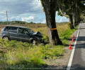 В Зеленоградском районе автомобиль съехал в кювет после столкновения с деревом