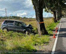 В Зеленоградском районе автомобиль съехал в кювет после столкновения с деревом