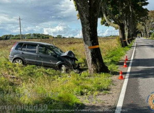 В Зеленоградском районе автомобиль съехал в кювет после столкновения с деревом