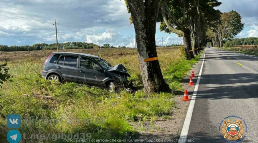 В Зеленоградском районе автомобиль съехал в кювет после столкновения с деревом