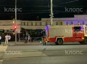 Пожар в кафе у входа в Калининградский зоопарк: работают спасатели