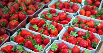 В Нестерове одобрен проект строительства вертикальной фермы для выращивания клубники