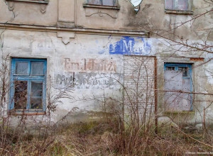Житель США заинтересовался старинным домом в поселке Ясное