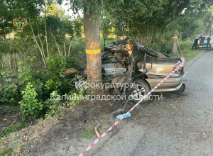 Супруги, родившиеся в один день, погибли в ДТП с Mitsubishi под Черепаново
