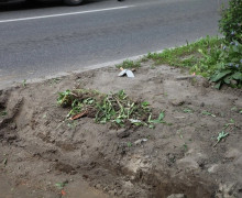 В Калининграде на улице Павлика Морозова у дома № 148 восстановили клумбу после расширения остановки