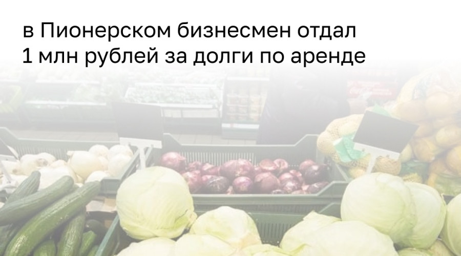Житель Калининграда три года не платил за аренду земли под магазином в Пионерском