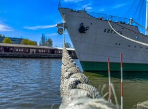 Утро в Калининграде: новый день начинается