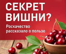 Роскачество рассказало о полезных свойствах вишни