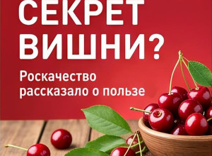 Роскачество рассказало о полезных свойствах вишни