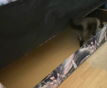 Продам диван