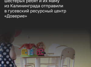 В Калининграде шестеро детей, включая младенца, оставались без присмотра в квартире, старшие не посещали школу более месяца