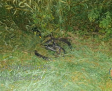 В Калининградской области автомобиль насмерть сбил велосипедиста на трассе Советск — Неман