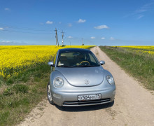 Volkswagen New Beetle, 2003