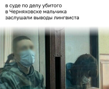 В суде по делу о гибели семилетнего мальчика в Черняховске огласили результаты лингвистической экспертизы