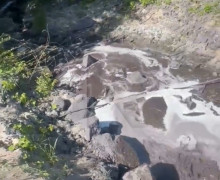 Под Черняховском в Преголю впадает неизвестный тёмный ручей с неприятным запахом
