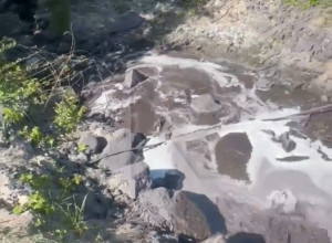 Под Черняховском в Преголю впадает неизвестный тёмный ручей с неприятным запахом