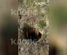 Опасный колодец с водой обнаружен рядом с «Ростех Ареной» в Калининграде