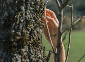 Калининградский агроном предупредила о дачных ошибках: почему ранней весной нельзя обрезать деревья и сыпать удобрения