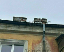 В Калининграде ворона уронила кирпич с крыши рядом с ребёнком