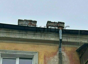 В Калининграде ворона уронила кирпич с крыши рядом с ребёнком