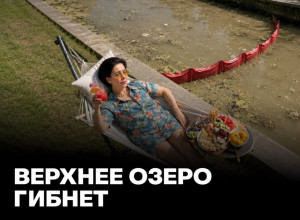Верхнее озеро в Калининграде: причины экологического кризиса и бездействие властей