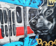 Дятлова в ярости: «Фалус» и «390» огромными буквами изгадили Калининград