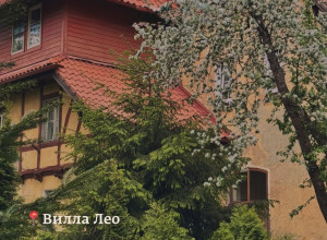 Архитектурные жемчужины Амалиенау: обзор самых живописных вилл
