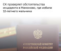 Глава СКР запросил доклад по делу об избиении ребёнка в Мамоново