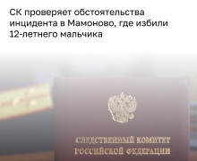 Глава СКР запросил доклад по делу об избиении ребёнка в Мамоново