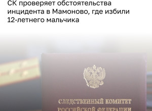 Глава СКР запросил доклад по делу об избиении ребёнка в Мамоново