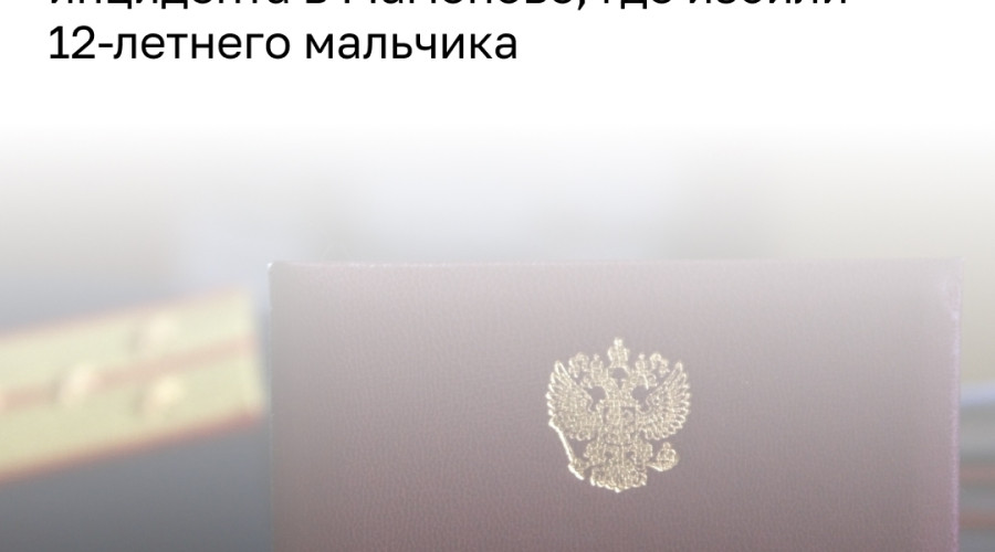 Глава СКР запросил доклад по делу об избиении ребёнка в Мамоново