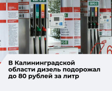 В Калининградской области зафиксирован рост цен на автомобильное топливо