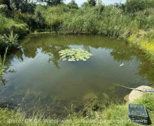 СК проводит проверку после гибели шестилетней девочки в пруду под Полесском