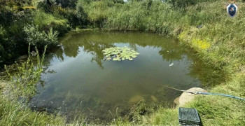 СК проводит проверку после гибели шестилетней девочки в пруду под Полесском
