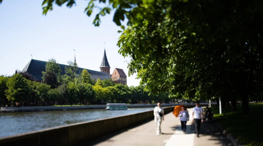 Гидрометцентр: начало лета в Калининградской области будет холоднее нормы