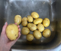 Продам молодой картофель