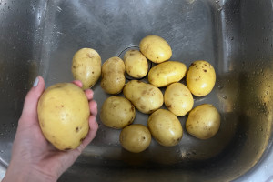 Продам молодой картофель