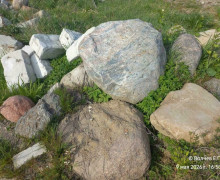 В Гурьевском районе на дачном участке обнаружили радиоактивные гранитные валуны