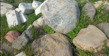В Гурьевском районе на дачном участке обнаружили радиоактивные гранитные валуны