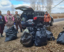 Жителей Калининграда приглашают на субботник по сбору валежника