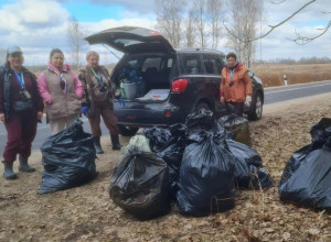 Жителей Калининграда приглашают на субботник по сбору валежника