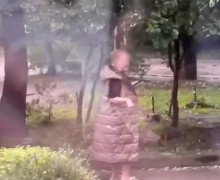 В Калининграде семья жалуется на пожилую соседку, которая ежедневно устраивает скандалы у их окон